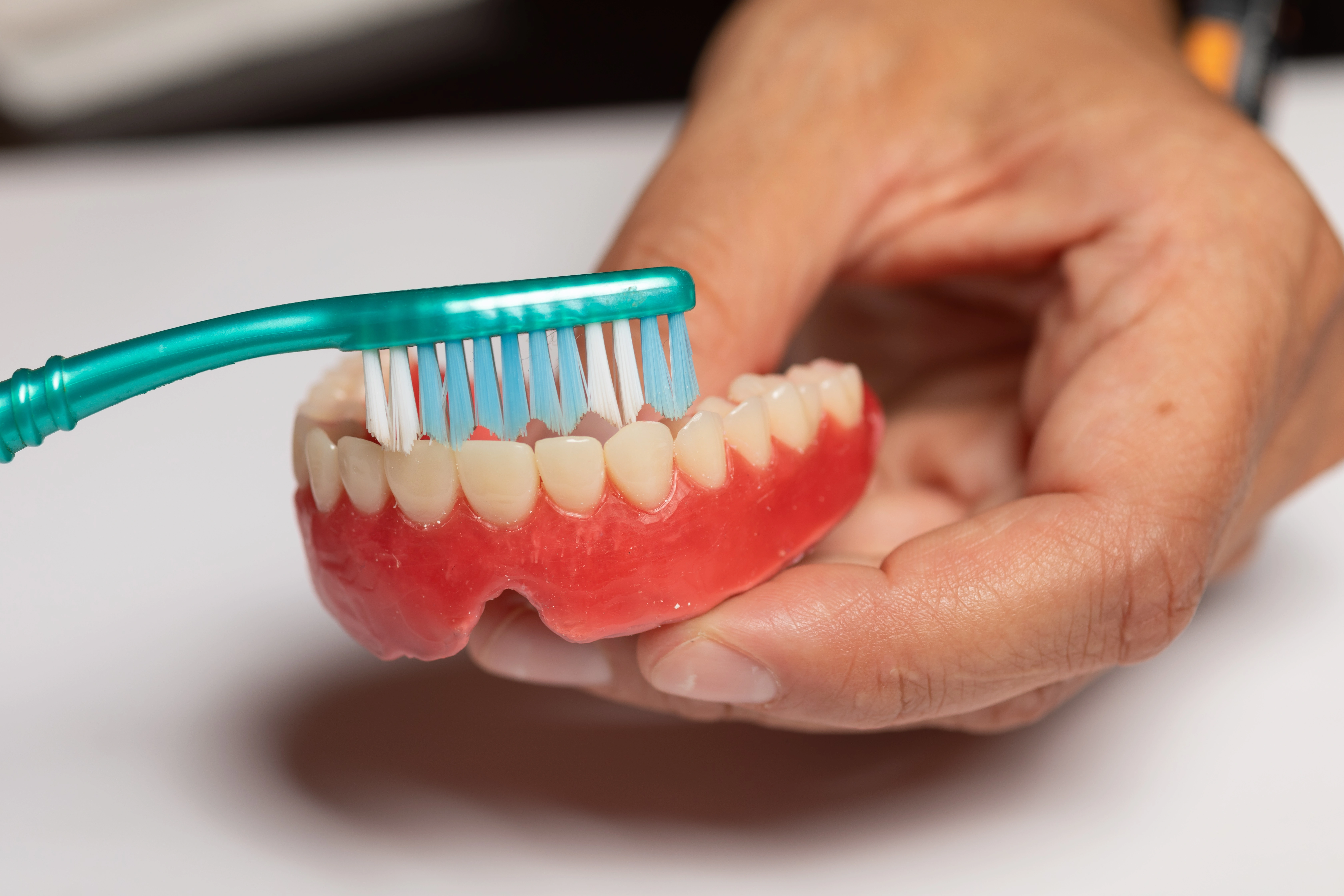 A dentist shows how to clean a denture prosthesis with a toothbrush.